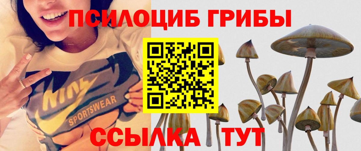 Псилоцибиновые грибы MAGIC MUSHROOMS Россия