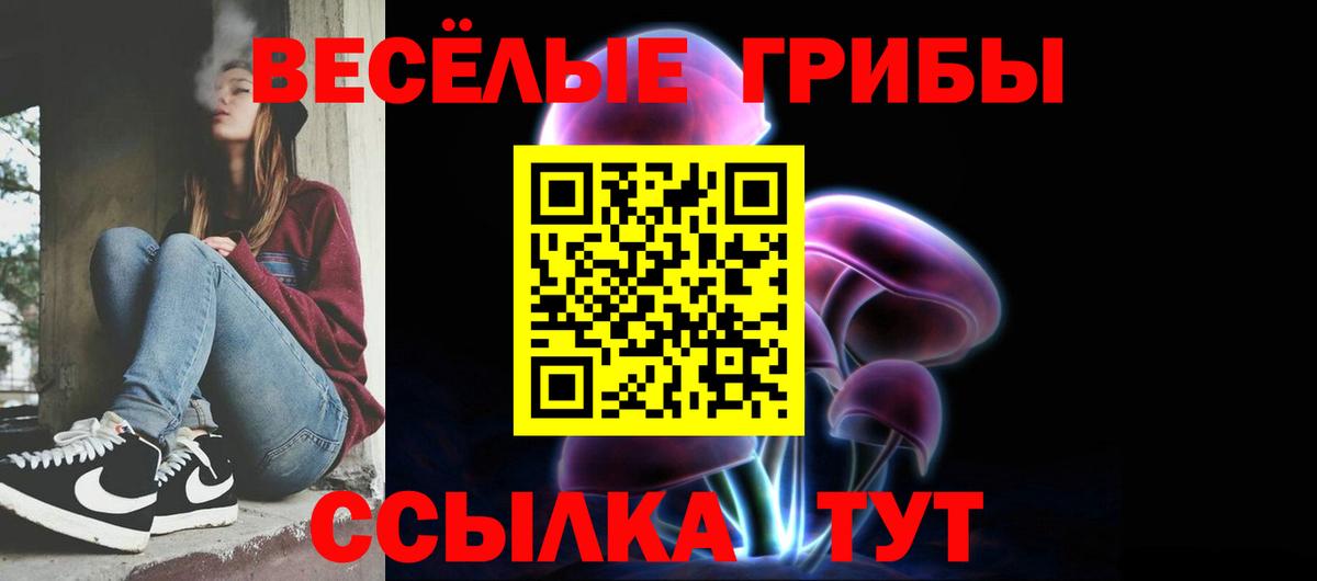 Россия  Галлюциногенные грибы GOLDEN TEACHER  Вход с VPN  Галлюциногенные грибы GOLDEN TEACHER 